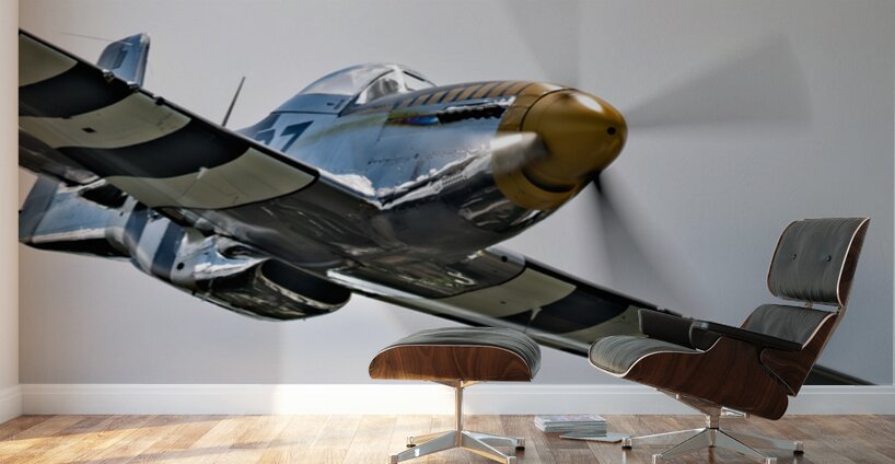 P-51 Mustang - Bald Eagle - Speed and Power Wall Murals