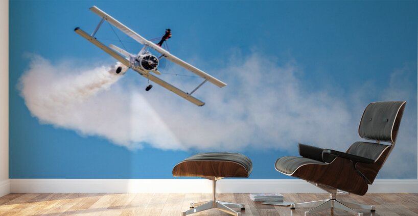 Grumman C-164 Ag Cat  and a Daring WingWalker.  Wall Murals