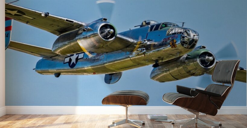 North American Aviation B-25 Mitchell - Panchito Wall Murals