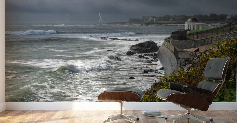 Storm is Coming Wall Murals