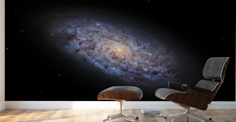 NGC5949 Dwarf Galaxy Wall Murals