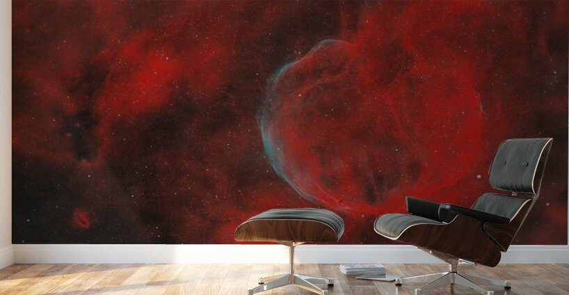The Garlic Nebula CTB-1 Wall Murals