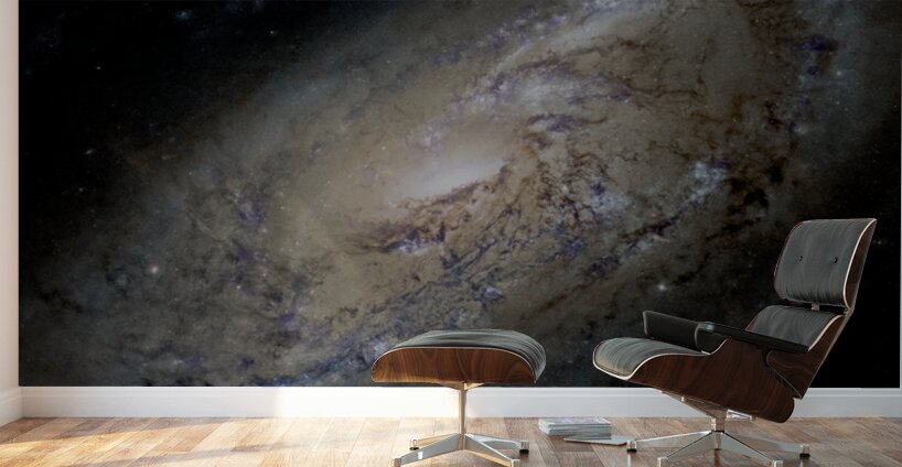 M106 - Spiral Galaxy Wall Murals
