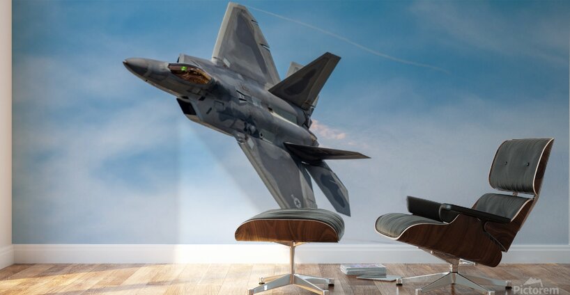 Lockheed Martin F-22 Raptor Wall Murals