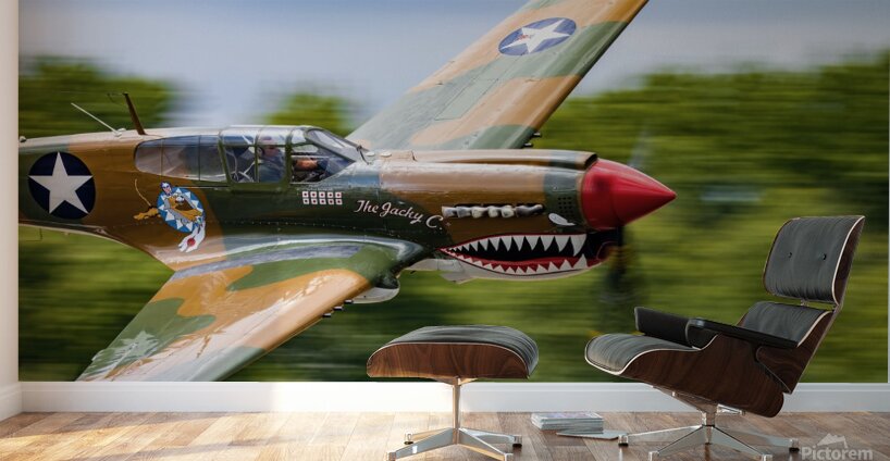 Curtiss P-40 WarHawk High Speed Pass Wall Murals