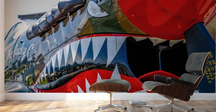 Curtiss P-40 Warhawk Nose Art Wall Murals
