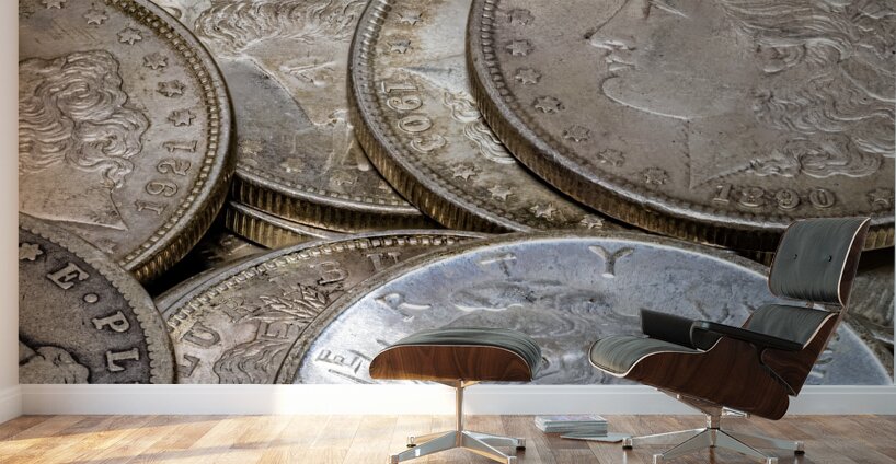 Silver Dollars Wall Murals