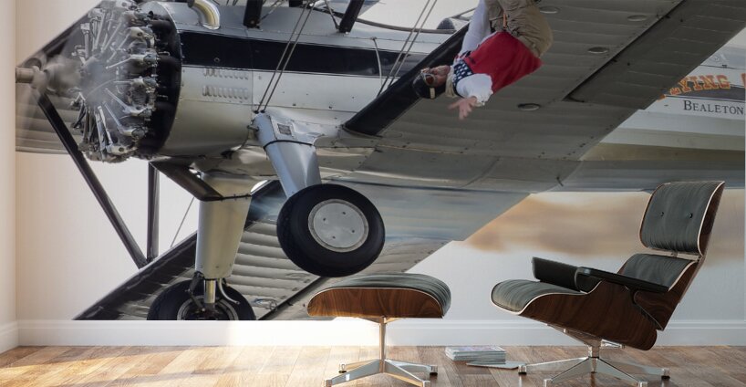 Flying Circus Wall Murals