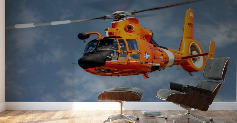 Eurocopter MH-65 Dolphin Wall Murals