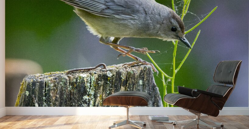 Cat Bird on a Post Wall Murals