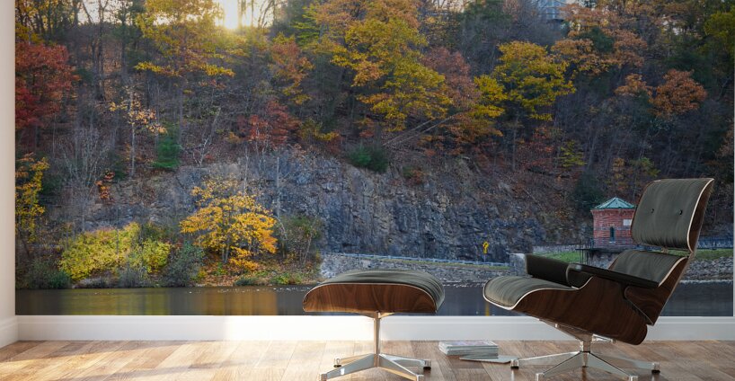 An autumn morning at the lake Wall Murals