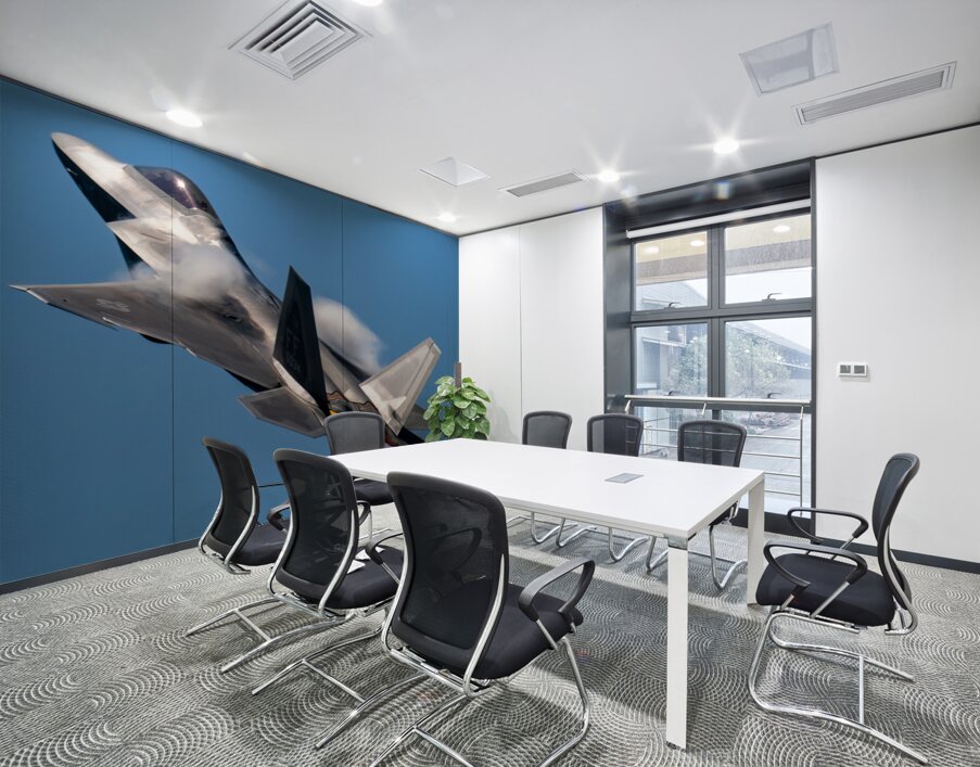 Lockheed-Martin USAF F-22 Raptor Wall Printing