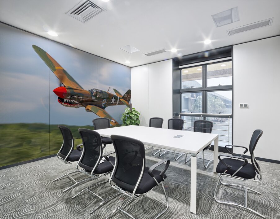 Curtiss P-40 Warhawk Wall Printing