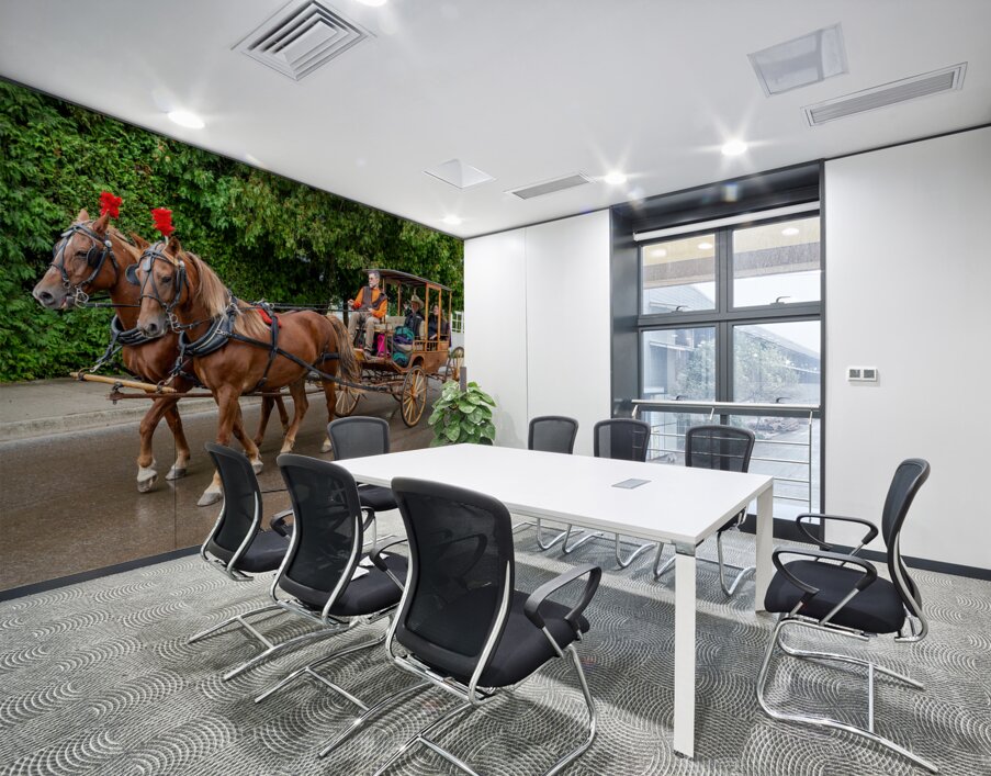 Horse and Carriage on Mackinac Island Wall Printing