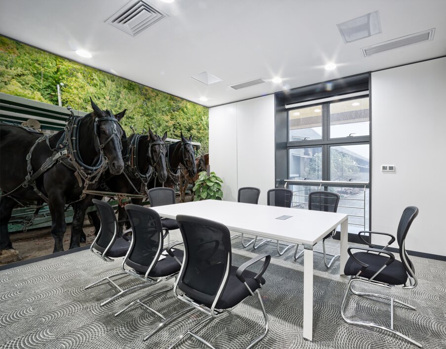 Teams of Horses Wall Printing