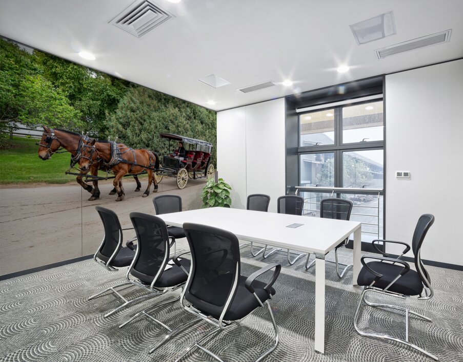 A Pair of Horses pulling a Carriage Wall Printing