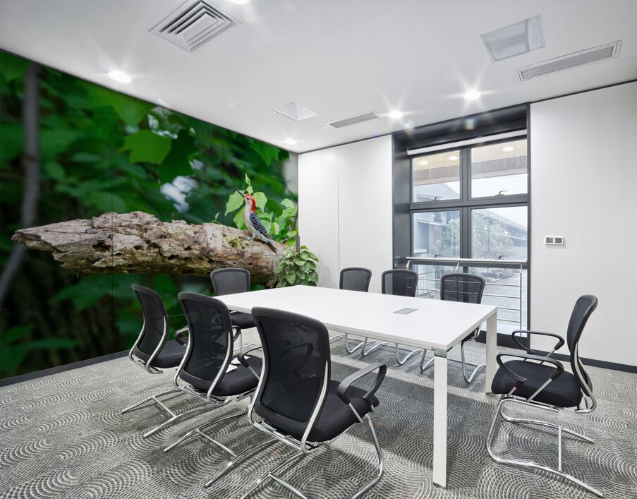 Red Bellied Wood Pecker Wall Printing