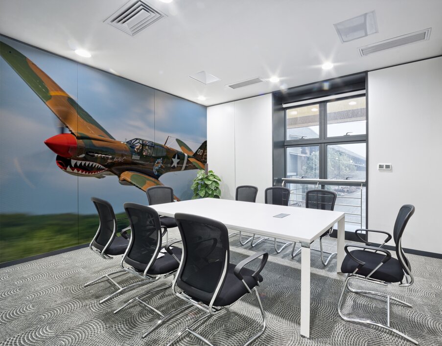 Curtiss P-40 Warhawk Low Altitude High Speed Pass Wall Printing