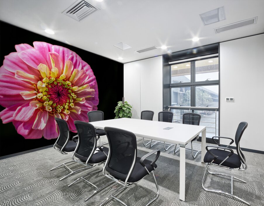 Pink and Yellow Zinnia Wall Printing