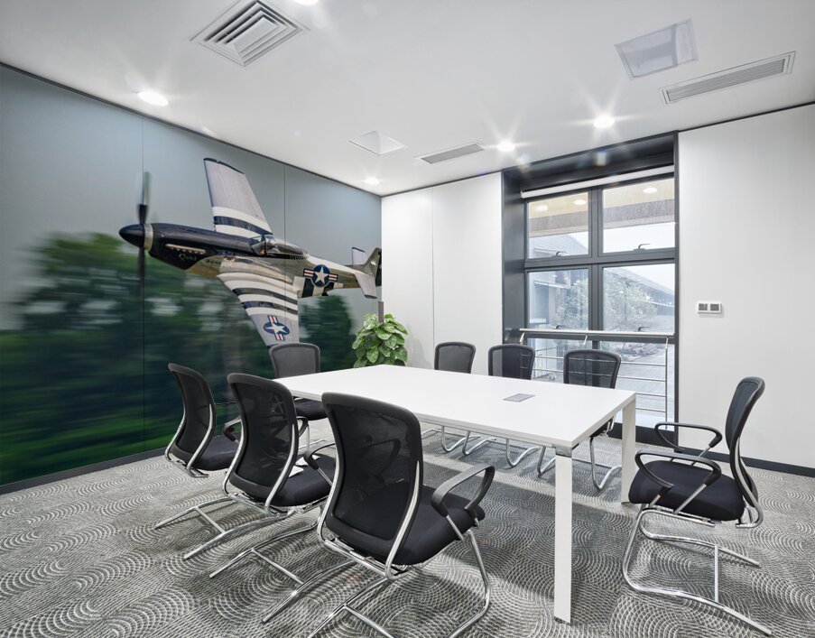 P-51D Mustang - Quicksilver Wall Printing