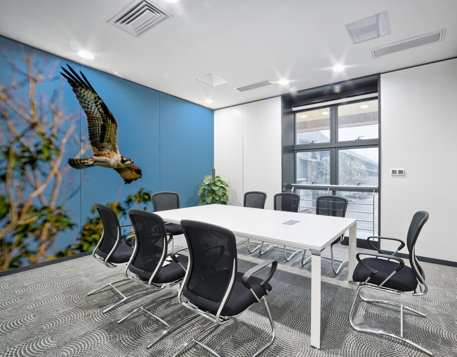 An Osprey Soars Wall Printing