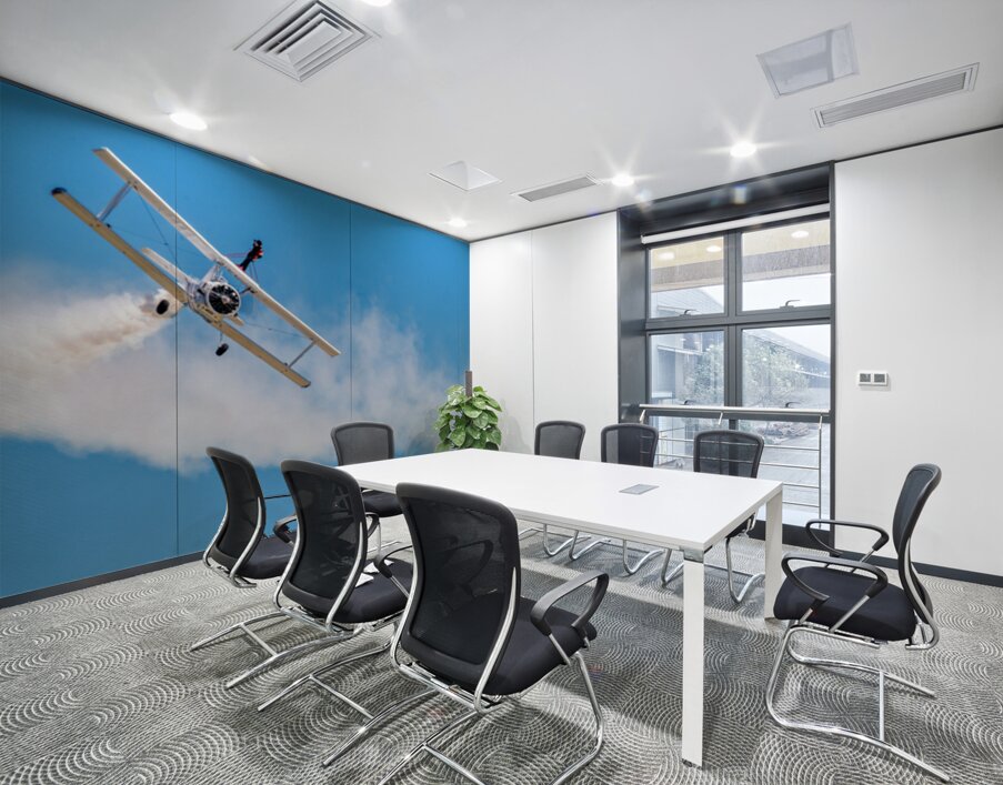 Grumman C-164 Ag Cat  and a Daring WingWalker.  Wall Printing