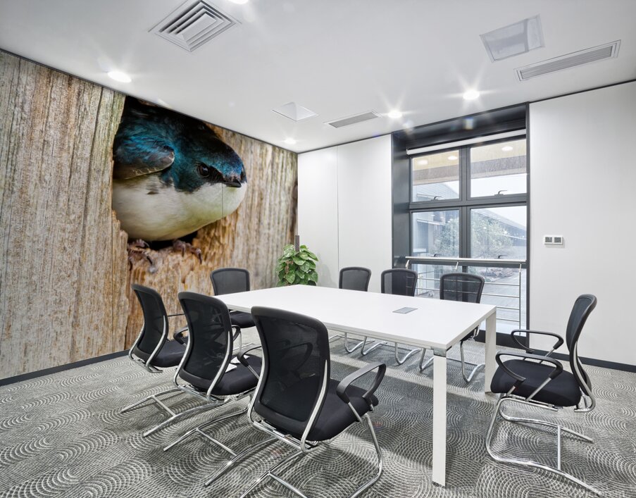 Hello There Wall Printing