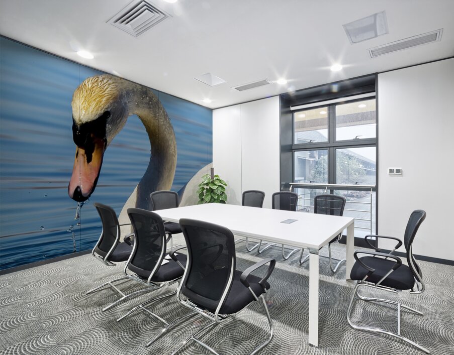 Swan on a Lake Wall Printing