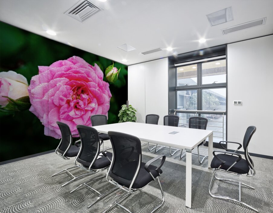 Rose with Morning Dew Wall Printing