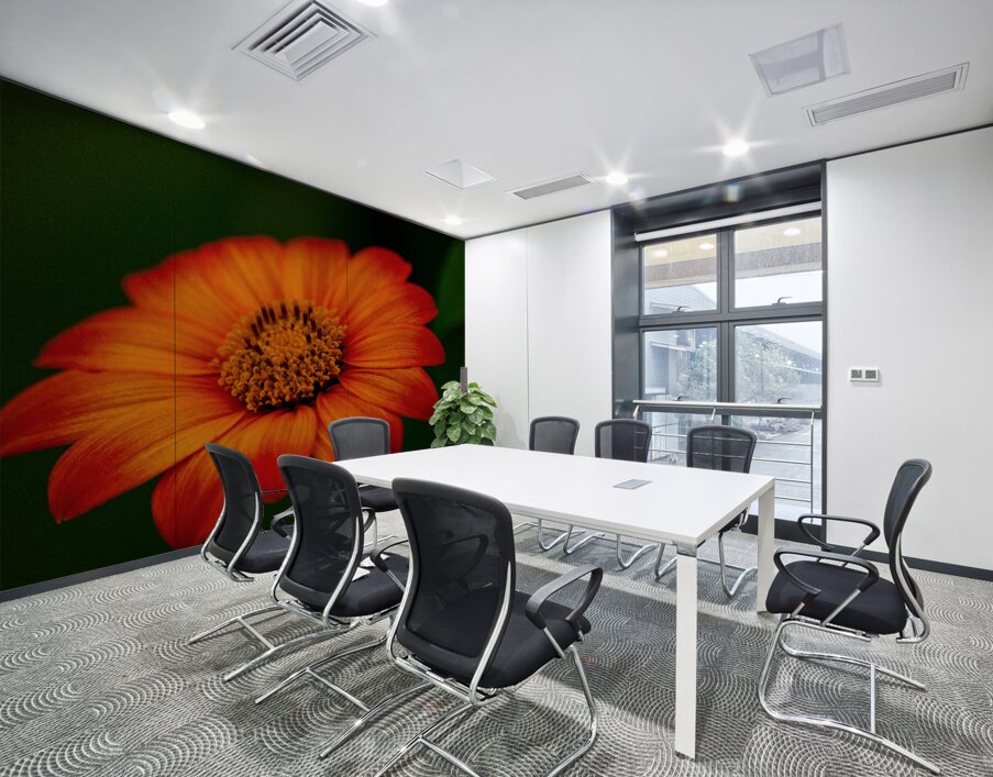 Orange Sunflower  Wall Printing