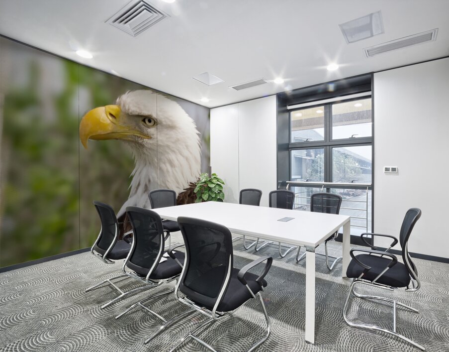 North American Bald Eagle Wall Printing