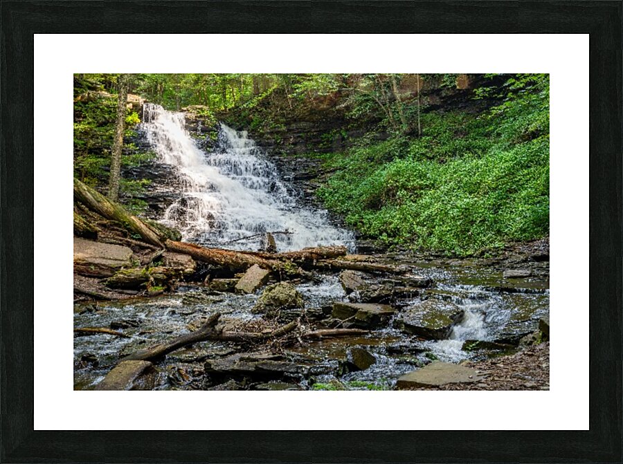 Waterfall in the Deep Forest Picture Frame print