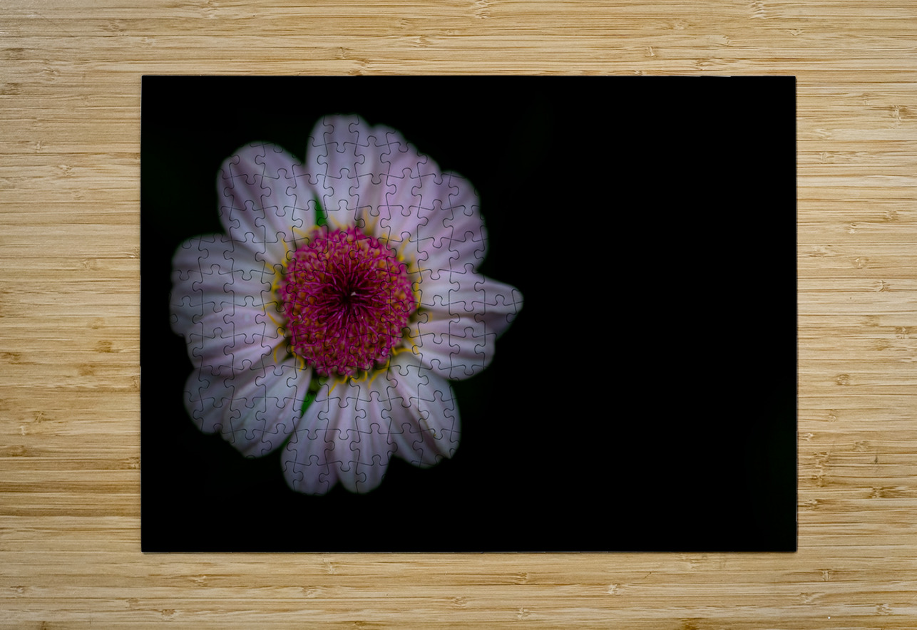 Daisy Pisarek Photography Puzzle printing