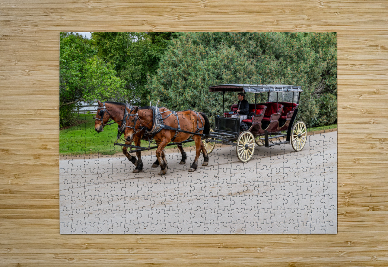 A Pair of Horses pulling a Carriage Pisarek Photography Puzzle printing
