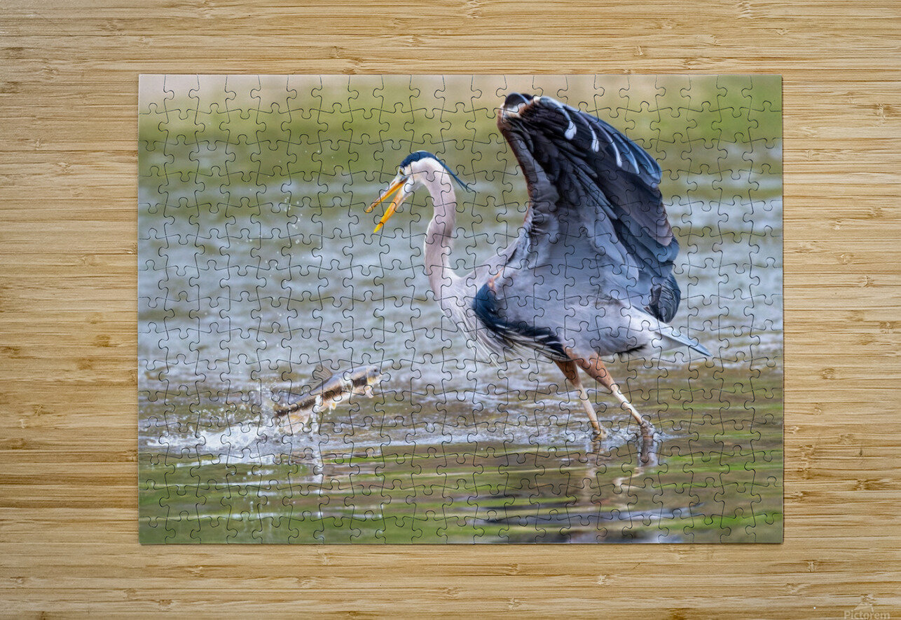 Not Today Pisarek Photography Puzzle printing