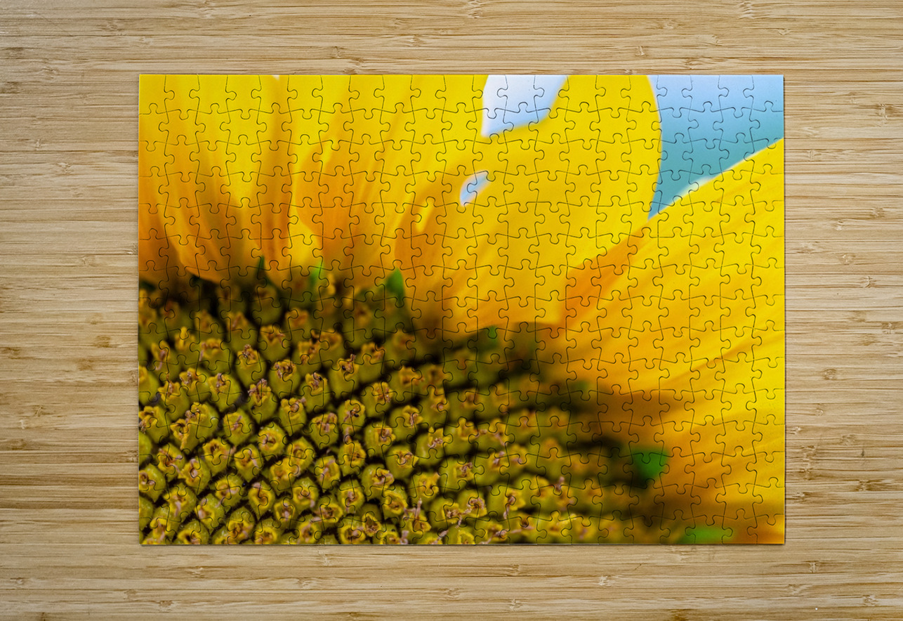 SunFlower Close Up Pisarek Photography Puzzle printing