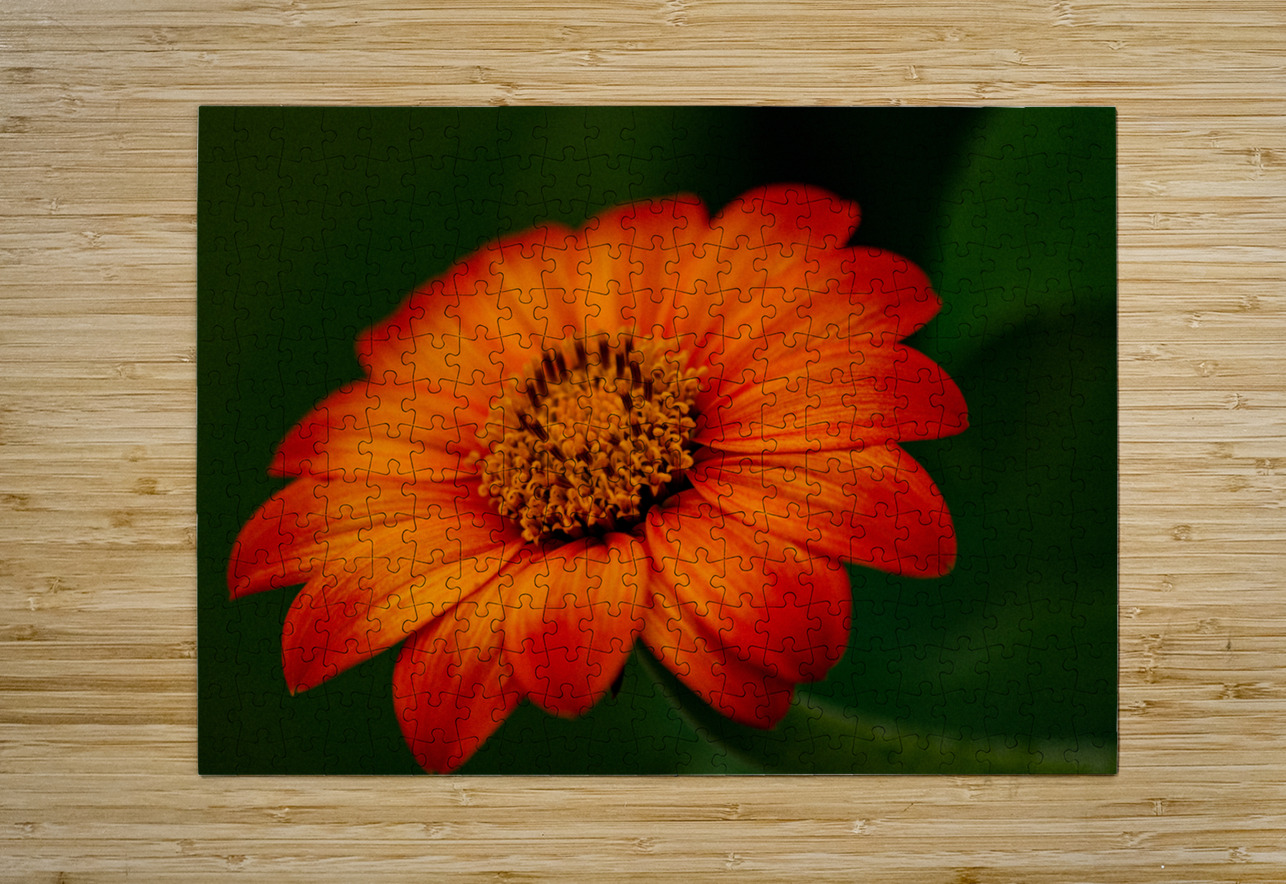 Orange Sunflower  Pisarek Photography Puzzle printing