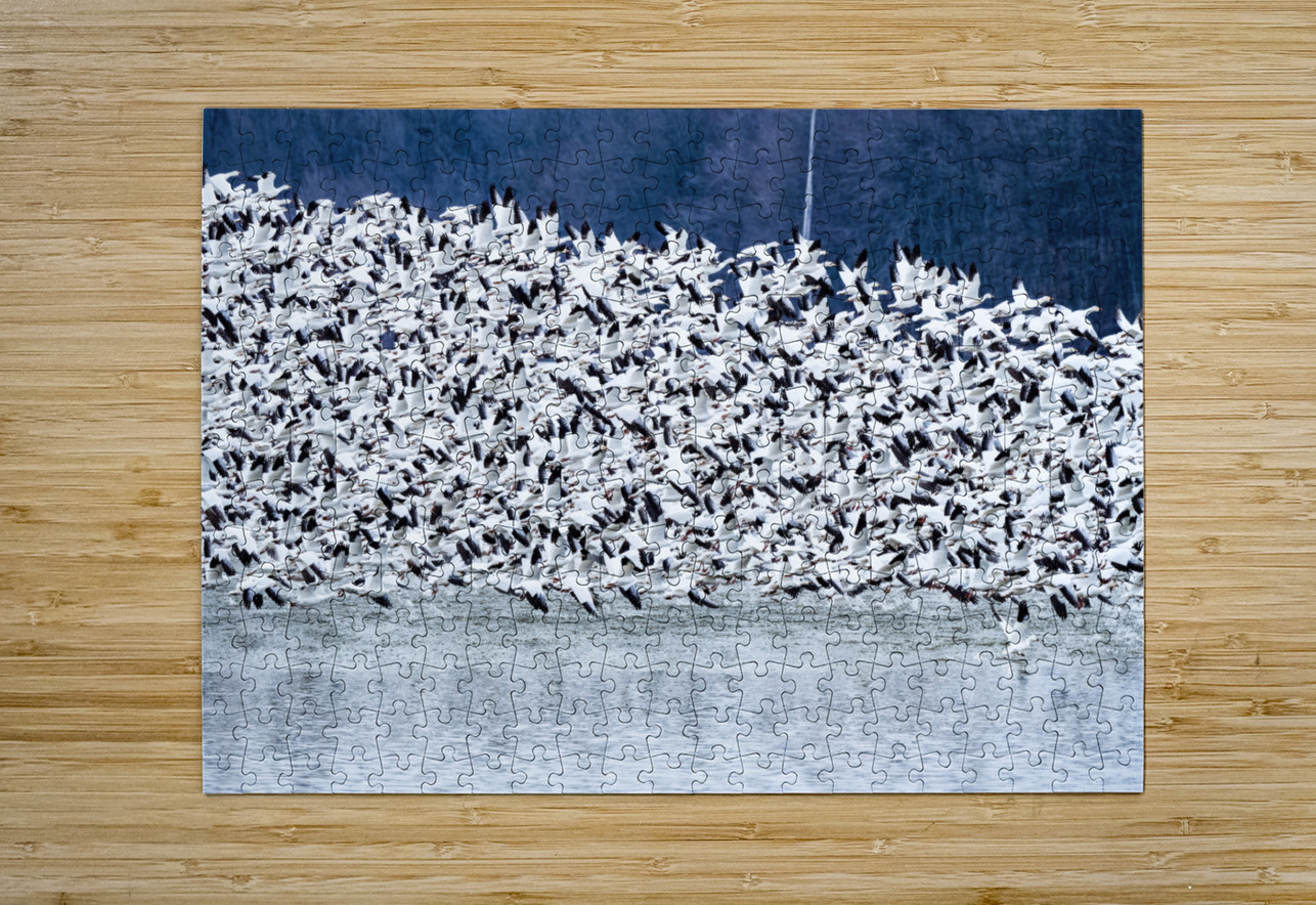 Snow Geese Migration Pisarek Photography Puzzle printing