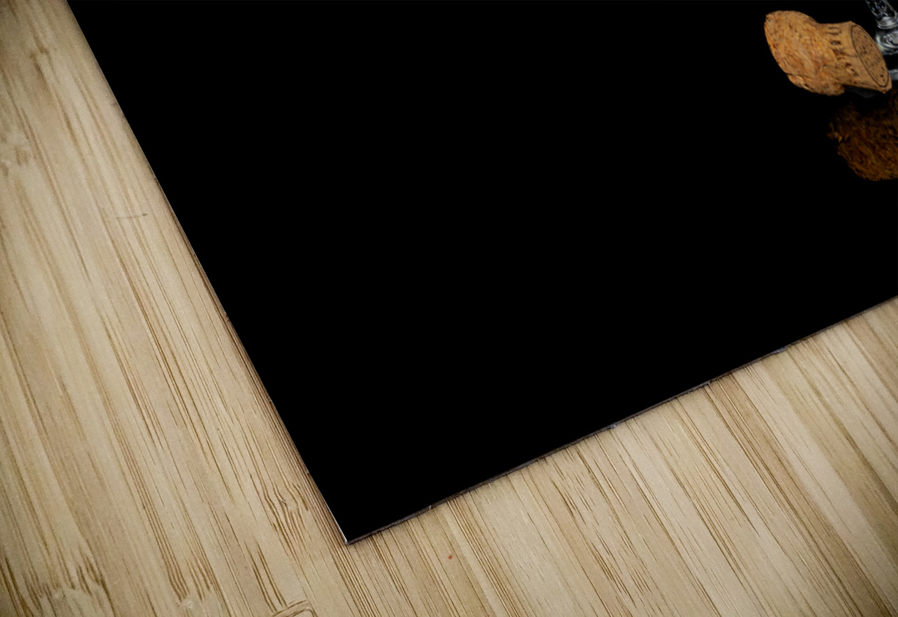 Champagne Pisarek Photography Puzzle