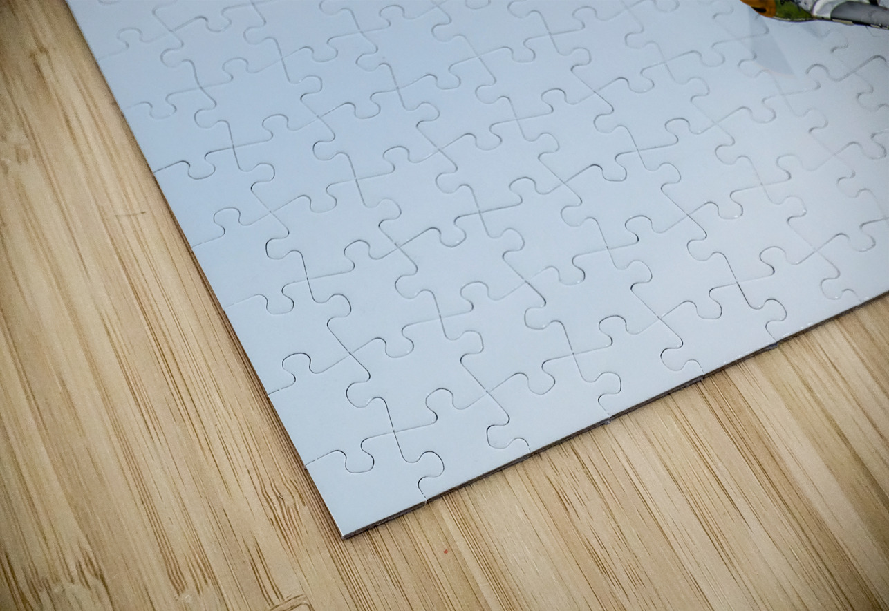 Heritage Flight - P-51D Mustang & F-35 Lightning II Pisarek Photography Puzzle