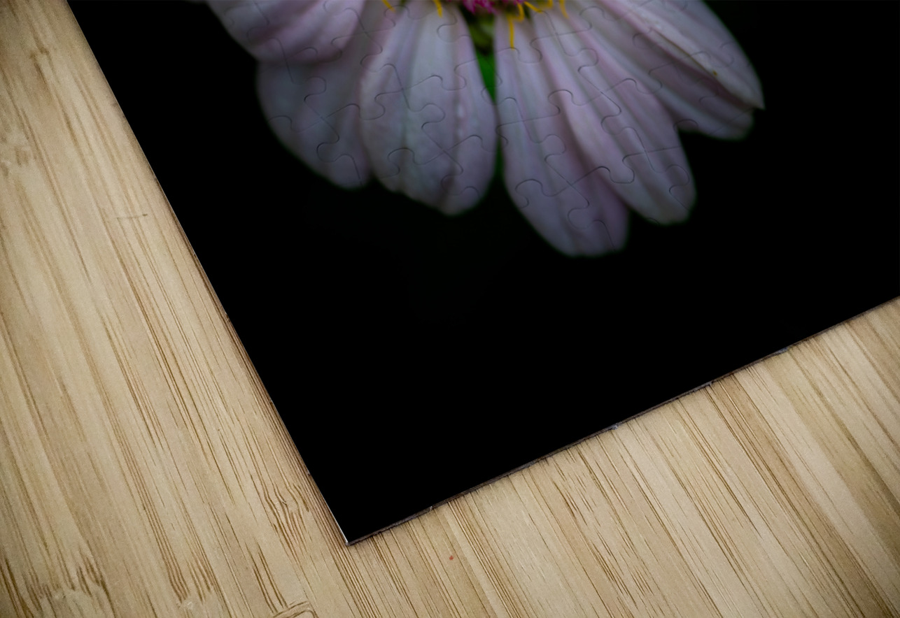 Daisy Pisarek Photography Puzzle