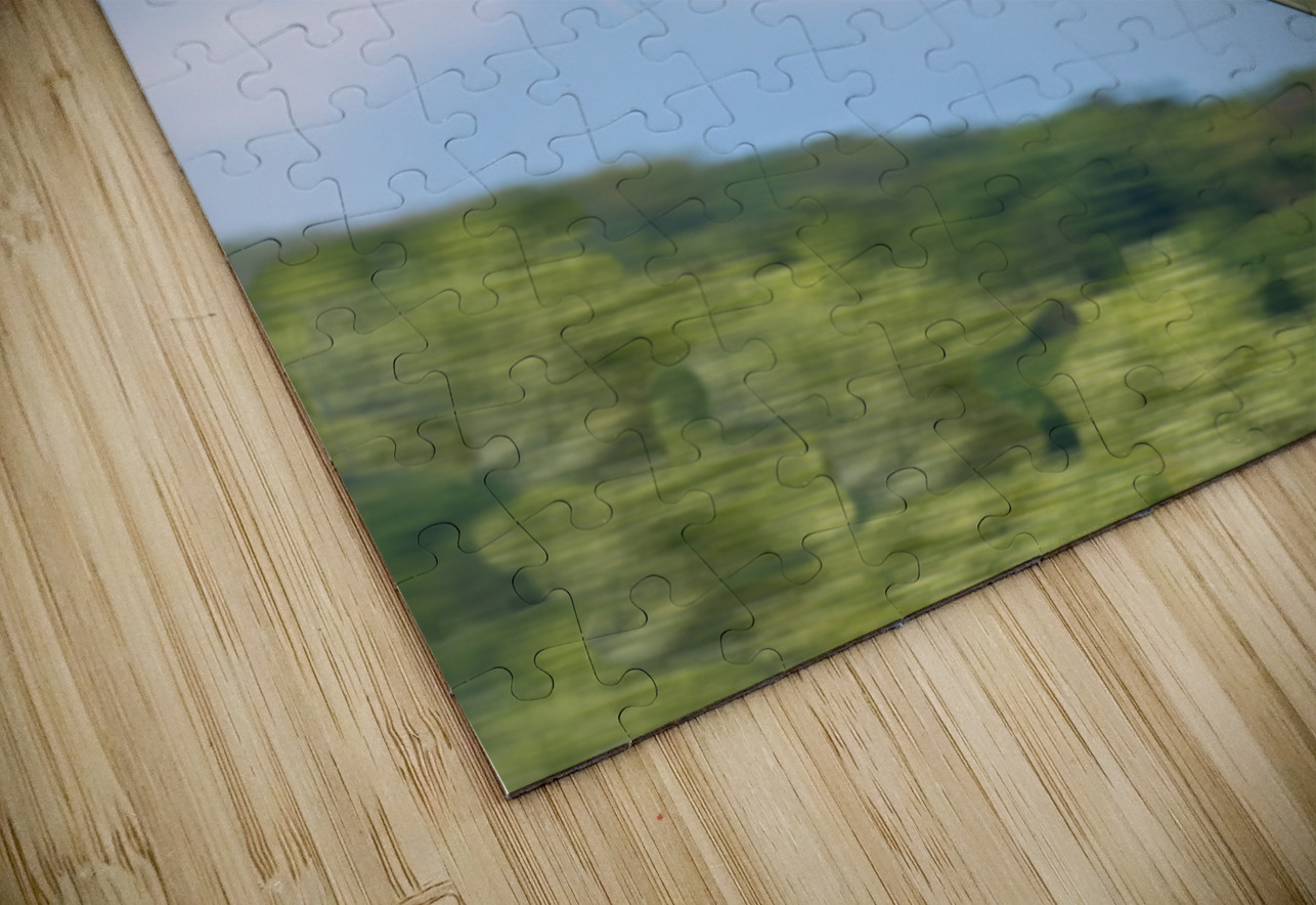 Curtiss P-40 Warhawk Pisarek Photography Puzzle