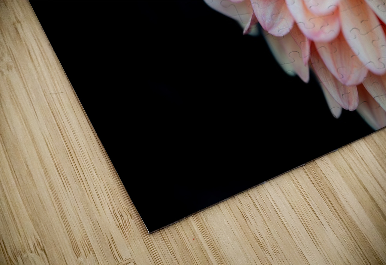 Pink Dahlia Pisarek Photography Puzzle