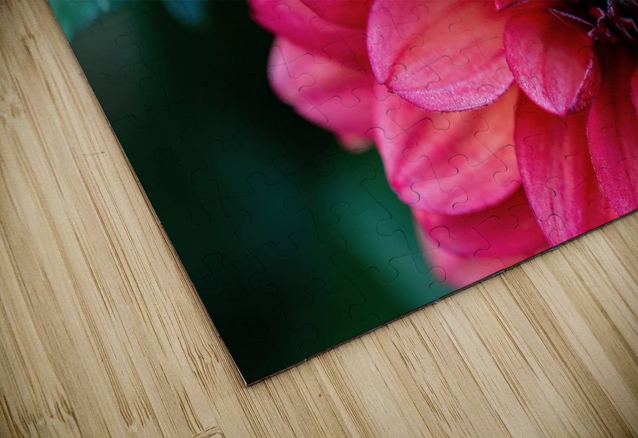 Dark Pink Dahlia Pisarek Photography Puzzle