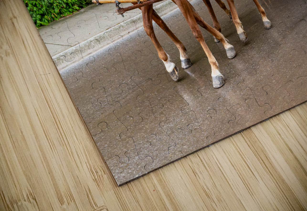 Horse and Carriage on Mackinac Island Pisarek Photography Puzzle