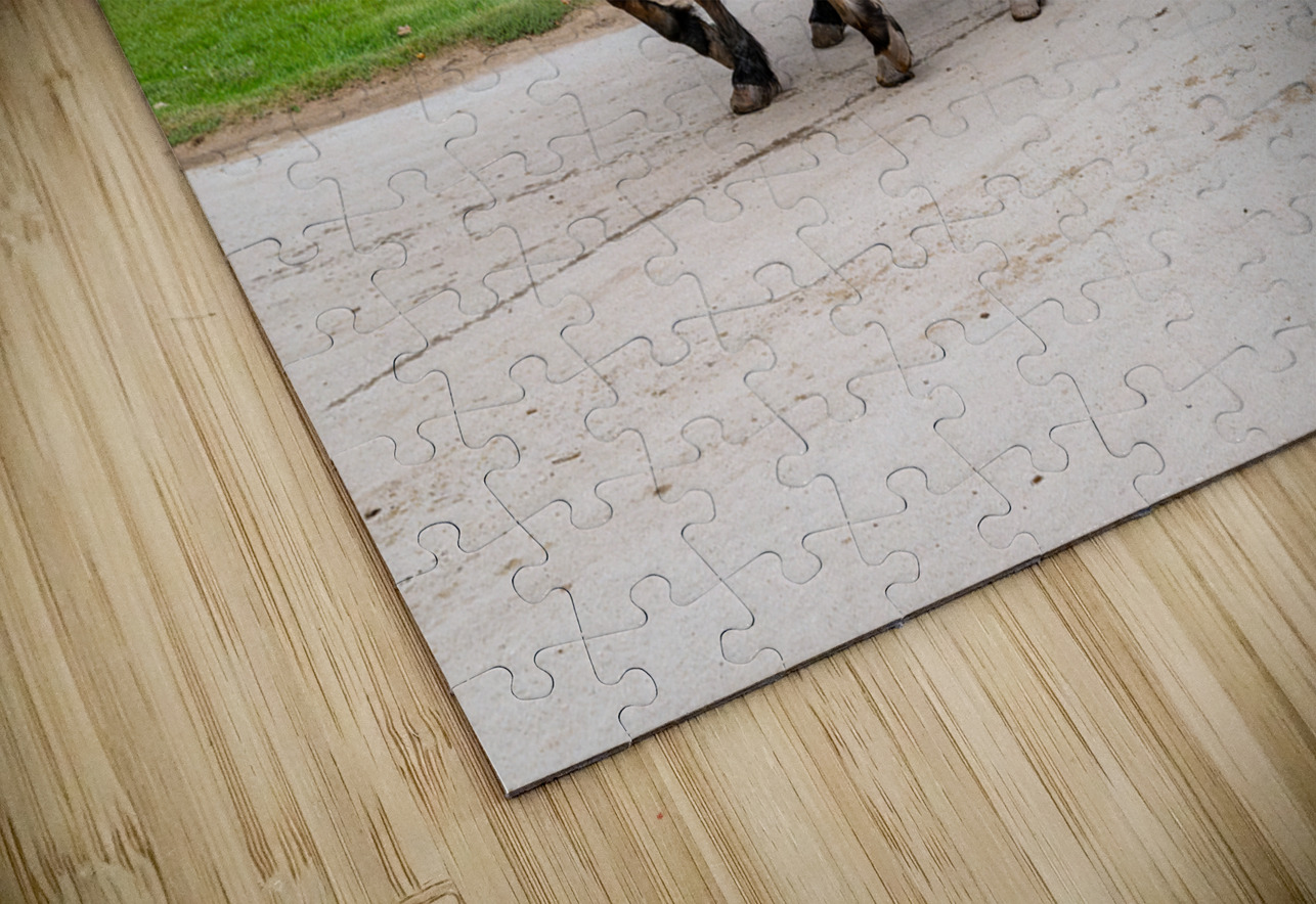 A Pair of Horses pulling a Carriage Pisarek Photography Puzzle