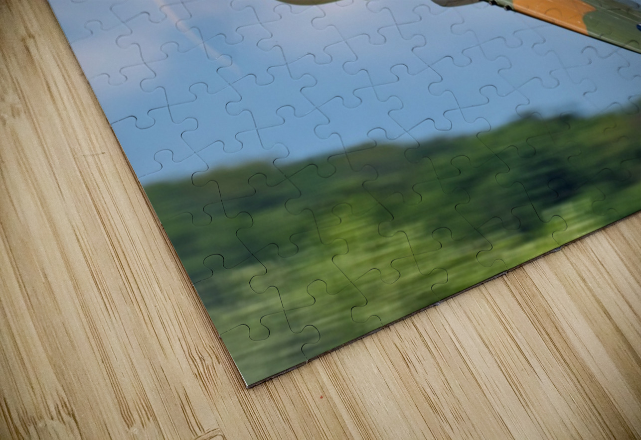 Curtiss P-40 Warhawk Low Altitude High Speed Pass Pisarek Photography Puzzle