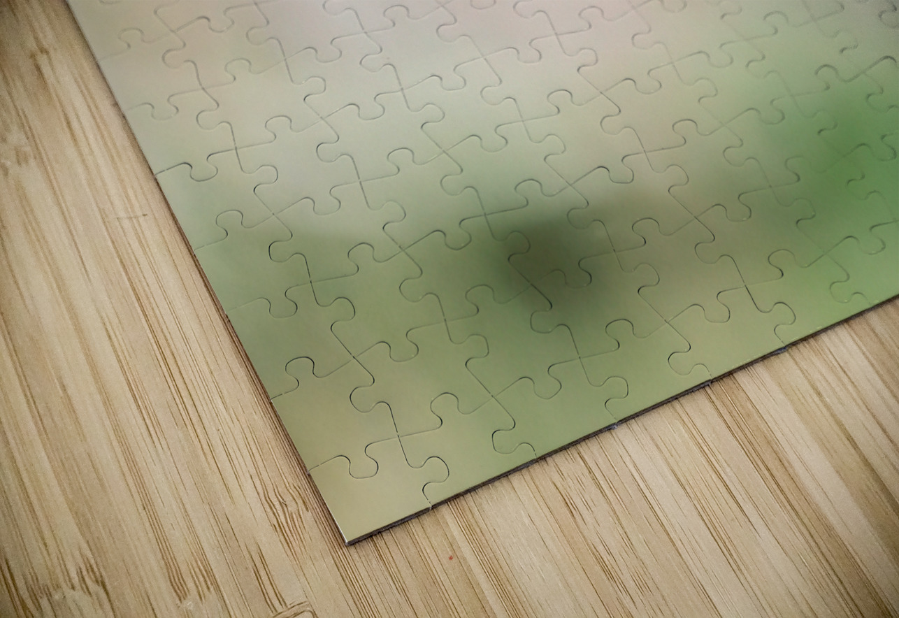 A Tree Swallow in Flight Pisarek Photography Puzzle