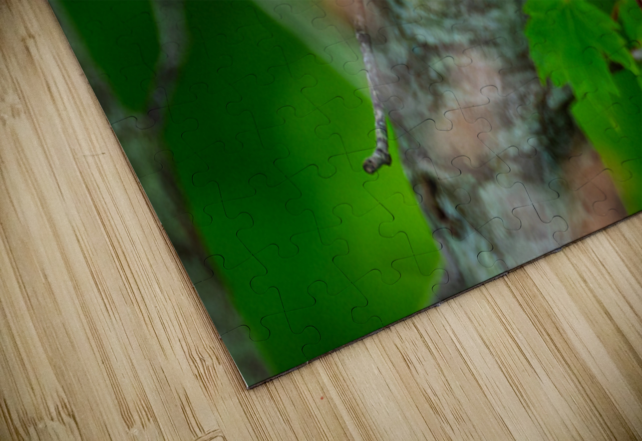 Northern Cardinal  Pisarek Photography Puzzle