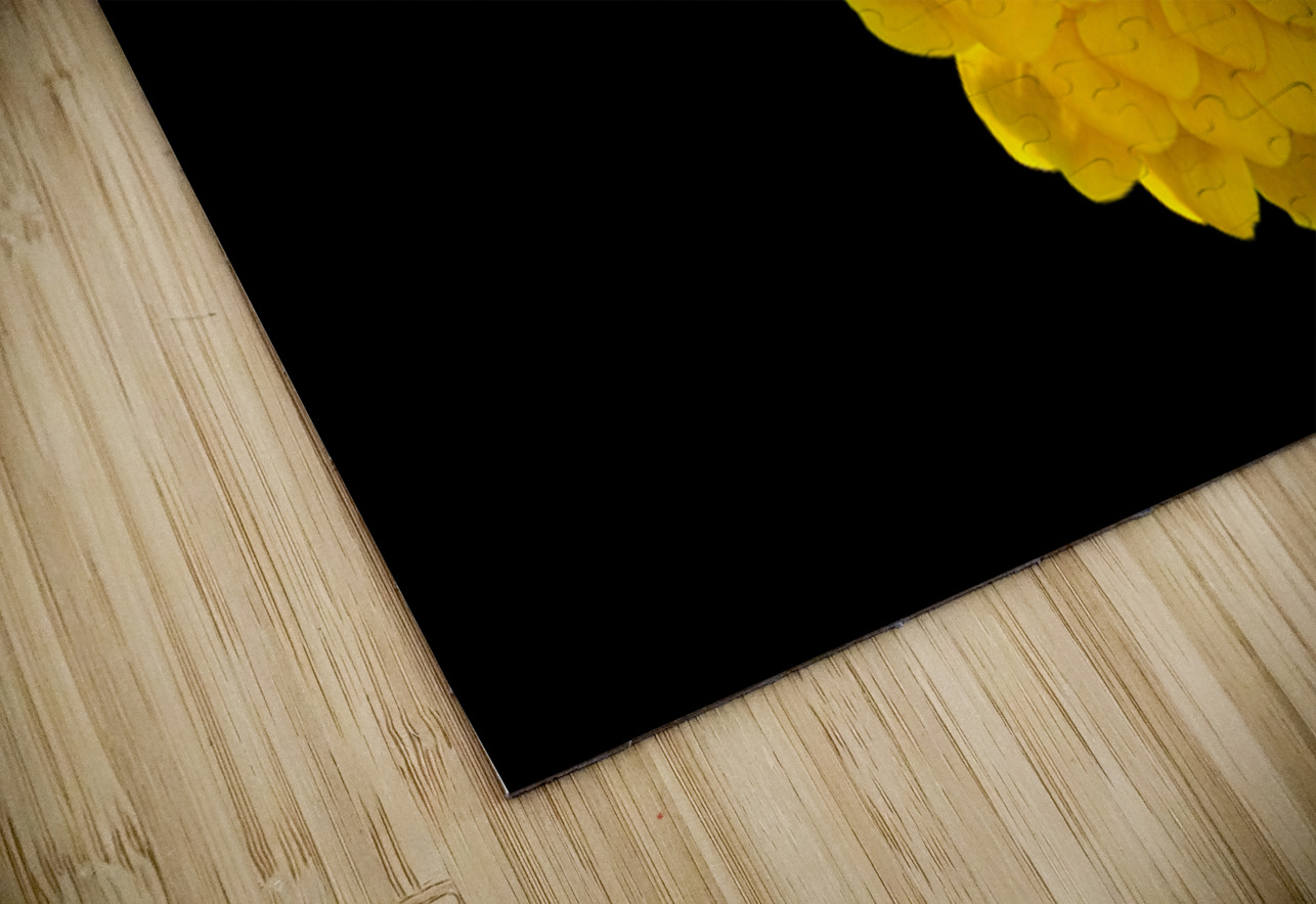 Yellow Zinnia and a Hoverfly Pisarek Photography Puzzle